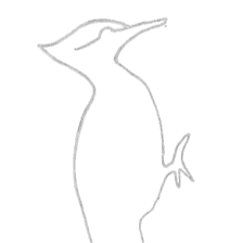 The Woodpecker Tampa LLC