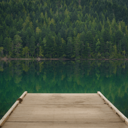 Biomagnetic Therapy of Tampa