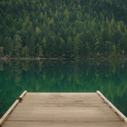 Biomagnetic Therapy of Tampa