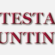PJ Testa Accountant Tampa