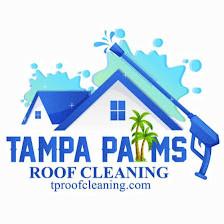 Tampa Palms Roof Cleaning