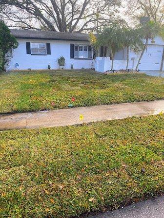 Abundant Lawn