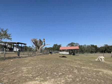 Golden Spirit Alpaca Ranch