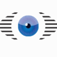 Hamilton Eye