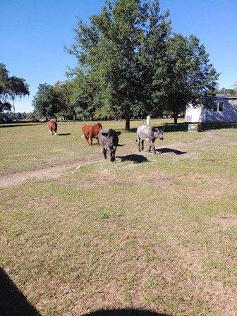 Bremily Ranch