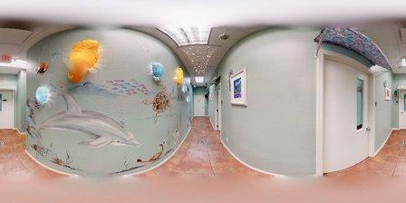 Pediatric Dentistry of New Tampa, Inc