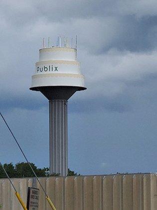 Lakeland Water Tower/Layer Cake