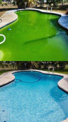 MyPoolFox LLC