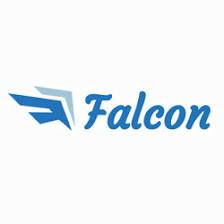 Falcon Charter Bus St. Petersburg