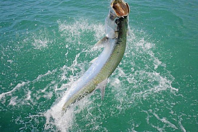 Skinny Water Charters