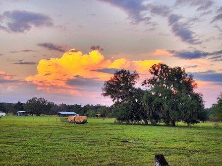 Florida Farm School & Animal Rescue