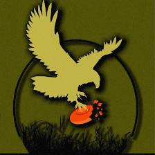 FishHawk Sporting Clays