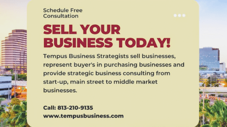 Tempus Business Strategists, LLC