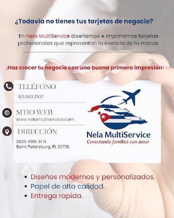 Nela Multiservice LLC