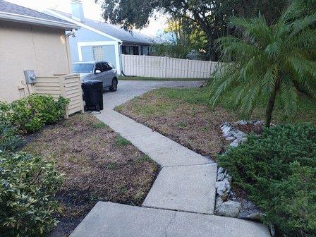 Pro Care Landscape Maintenance