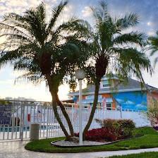 East Shore Resort