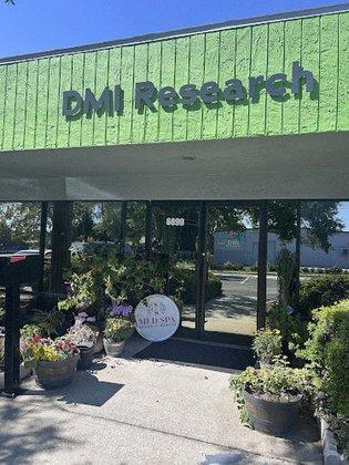 DMI Research