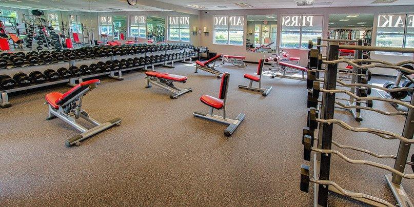 Strive Athletic Club & MMA