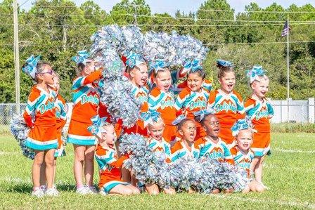 Plant City Dolphins Football