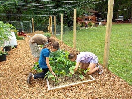Lee Academy-Gifted Education