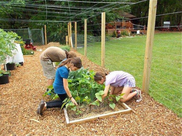 Lee Academy-Gifted Education