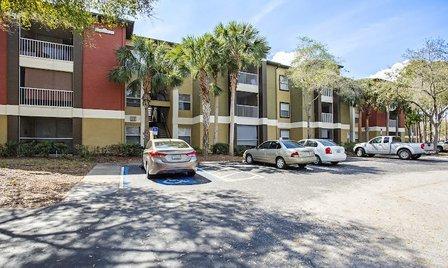 Sabal Palm at Carrollwood