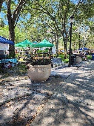 St. Petersburg Saturday Morning Market
