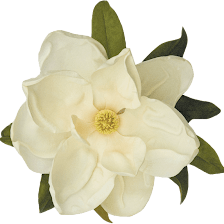 Magnolia Gardens