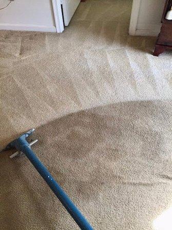 Steve's Carpet & Upholstery Cleaning Experts