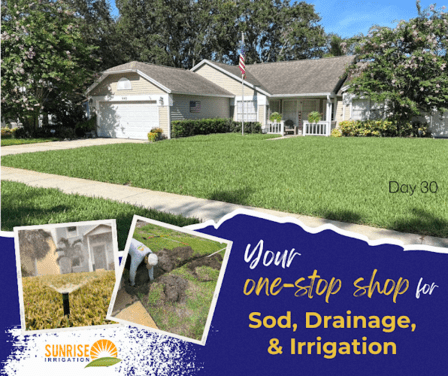 Sunrise Irrigation