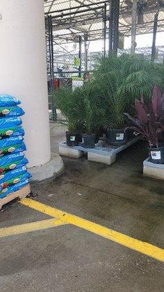 Garden Center at The Home Depot