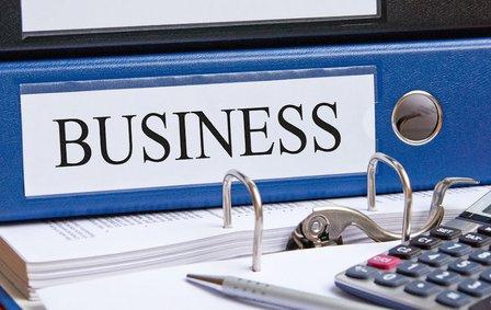 Sunshine Business Consultants LLC