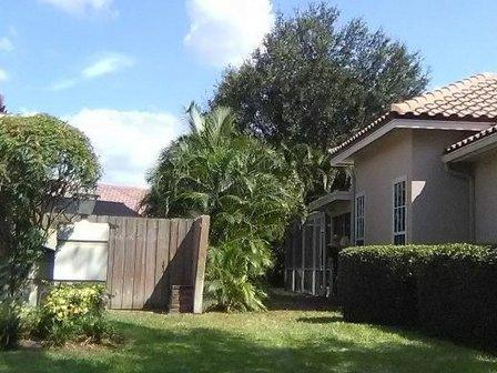 Greater Bay Area Tree & Arborist Services