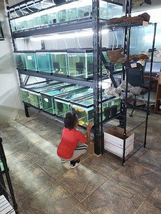 Tide & Stream Aquatics