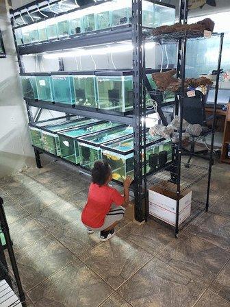 Tide & Stream Aquatics