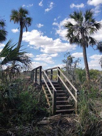Alafia Scrub Nature Preserve