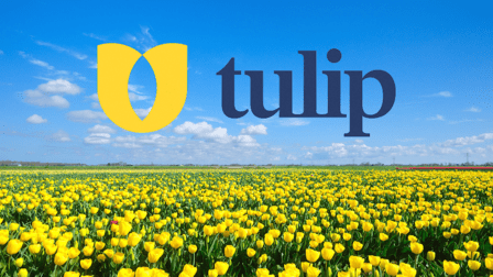Tulip Cremation