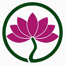 Dr. Holly Durning & Associates- Holistic Medicine, Acupuncture Physician