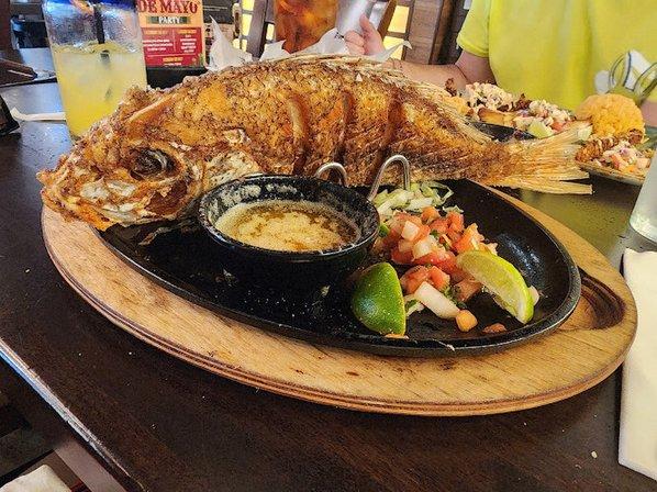 Azteca D'Oro Wesley Chapel