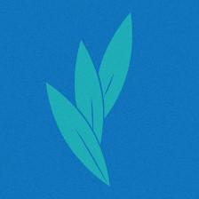 Bayberry Dental
