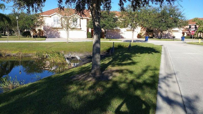 Paradise Lakes Vacation