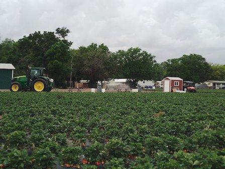 5K Farms