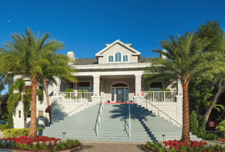 Faces of South Tampa