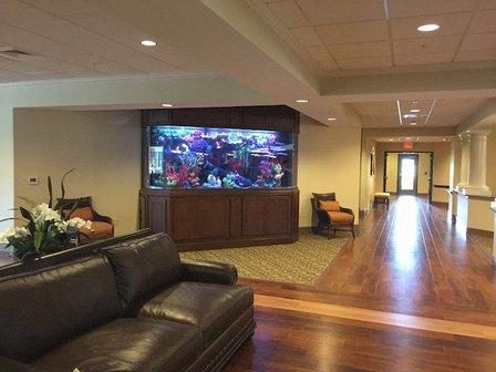 Creative Aquariums of Tampa