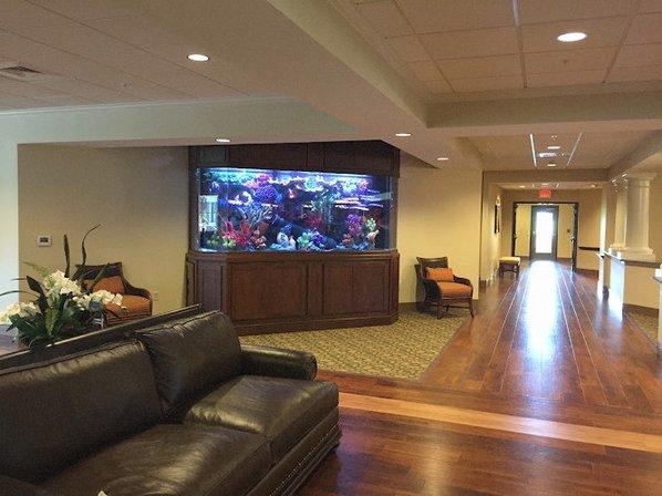 Creative Aquariums of Tampa