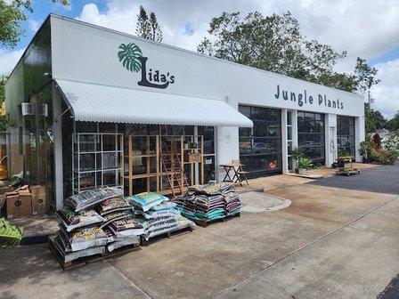 Lida's Jungle