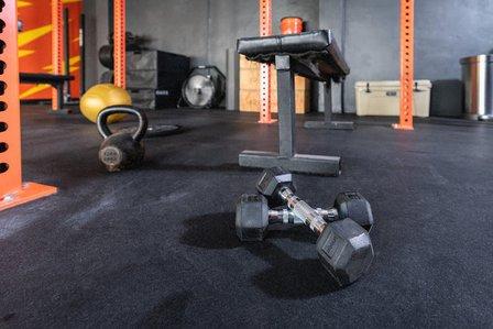 The Athleticus