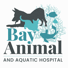 Bay Animal and Aquatic Hospital