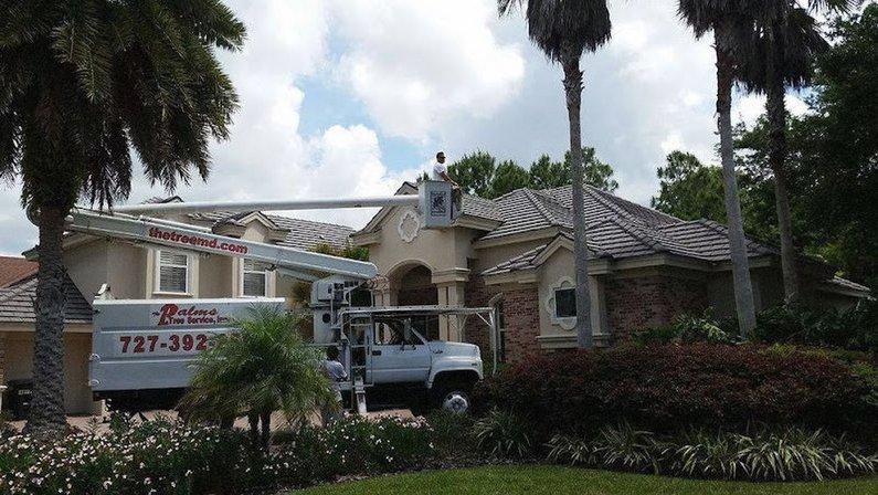 The Palms Tree Service, Inc.