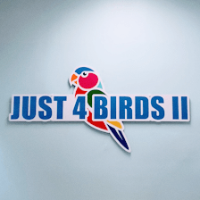 Just4BirdsII